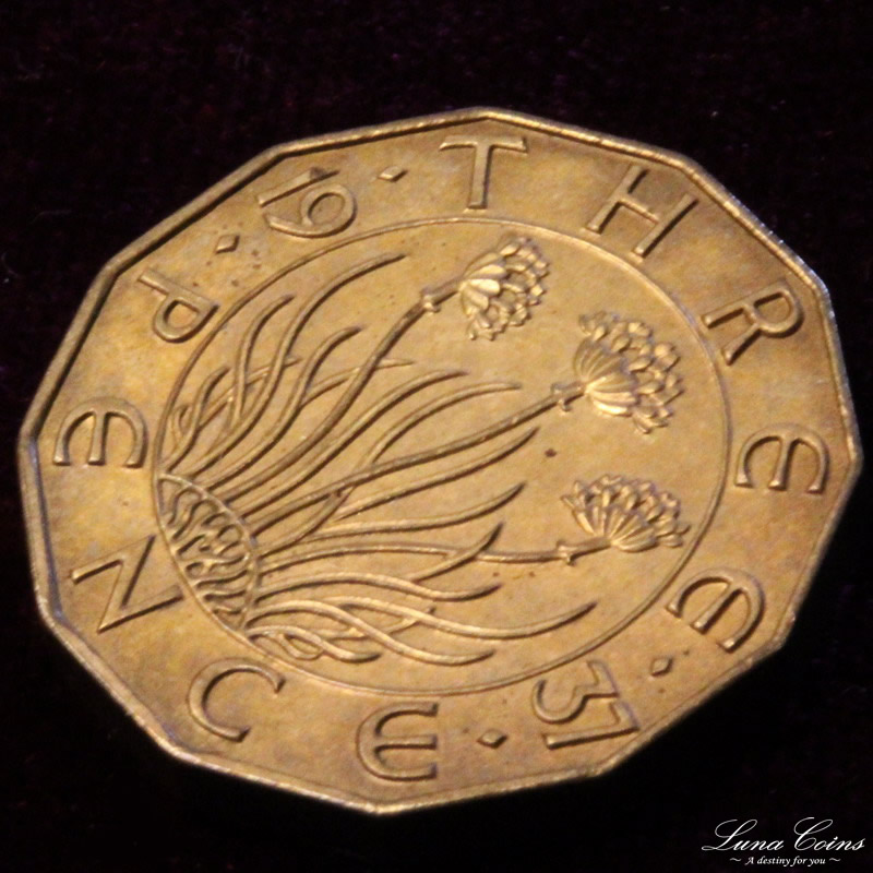 多様な イギリス 1シリング銀貨① 1885年